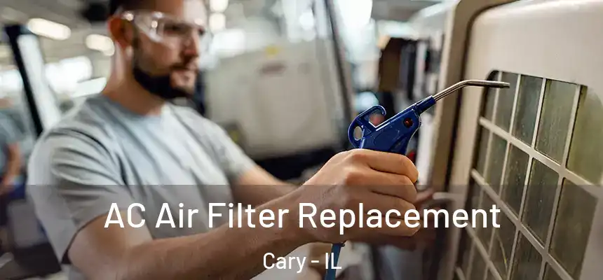  AC Air Filter Replacement Cary - IL
