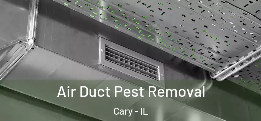  Air Duct Pest Removal Cary - IL