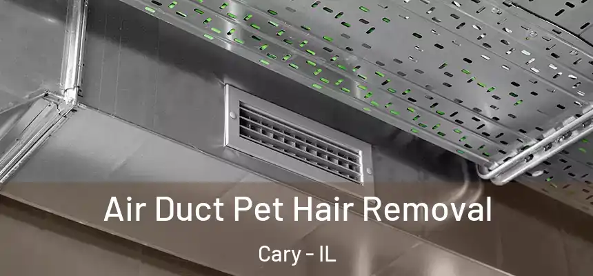  Air Duct Pet Hair Removal Cary - IL