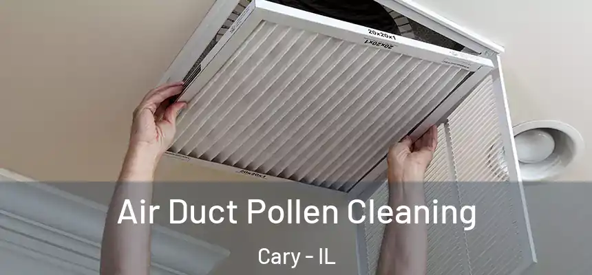  Air Duct Pollen Cleaning Cary - IL