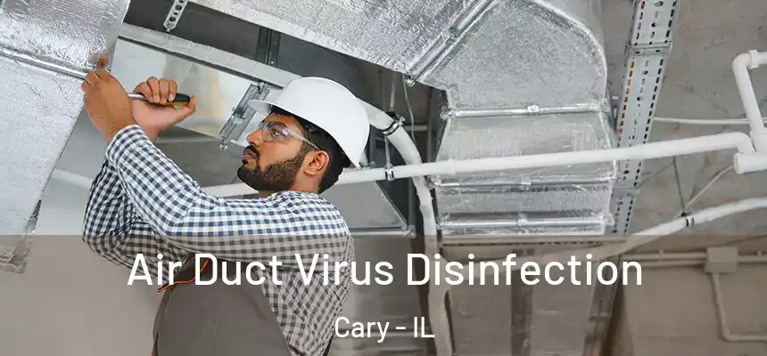  Air Duct Virus Disinfection Cary - IL