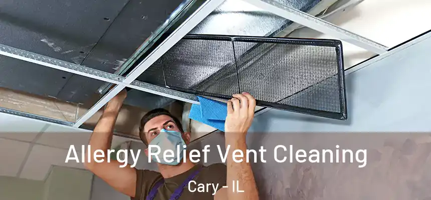  Allergy Relief Vent Cleaning Cary - IL