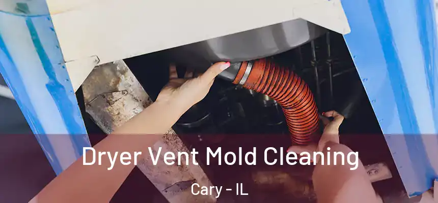  Dryer Vent Mold Cleaning Cary - IL