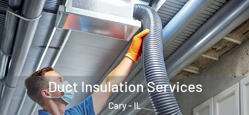  Duct Insulation Services Cary - IL