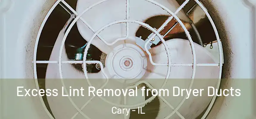  Excess Lint Removal from Dryer Ducts Cary - IL