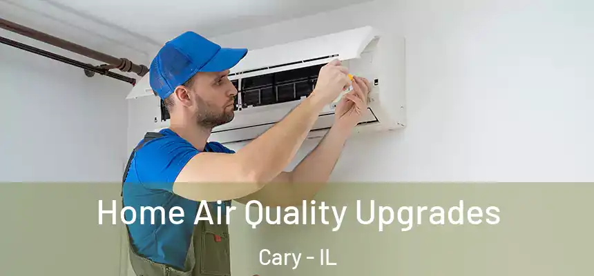  Home Air Quality Upgrades Cary - IL