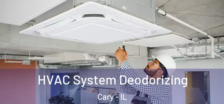  HVAC System Deodorizing Cary - IL
