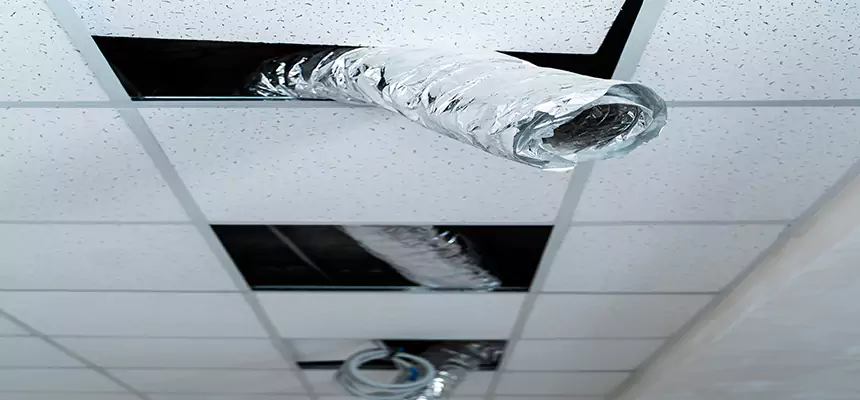 Our Air Duct Pet Hair Removal Services in Cary, IL