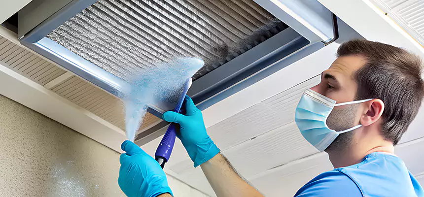 Proactive Dryer Vent & Auxiliary Duct Pollen Cleanup in Cary, IL