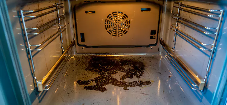 Our Dryer Vent Mold Cleaning Services in Cary, IL