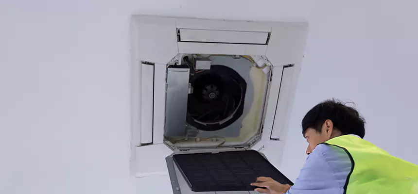 Our Dryer Vent Sanitization Service Services in Cary, IL