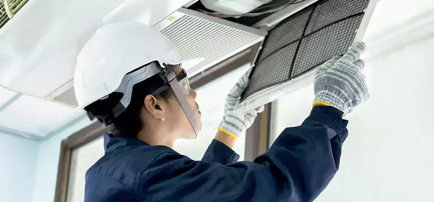 Our Mold & Mildew Removal from Air Ducts Services in Cary, IL