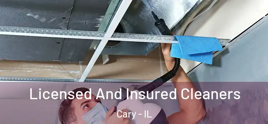  Licensed And Insured Cleaners Cary - IL