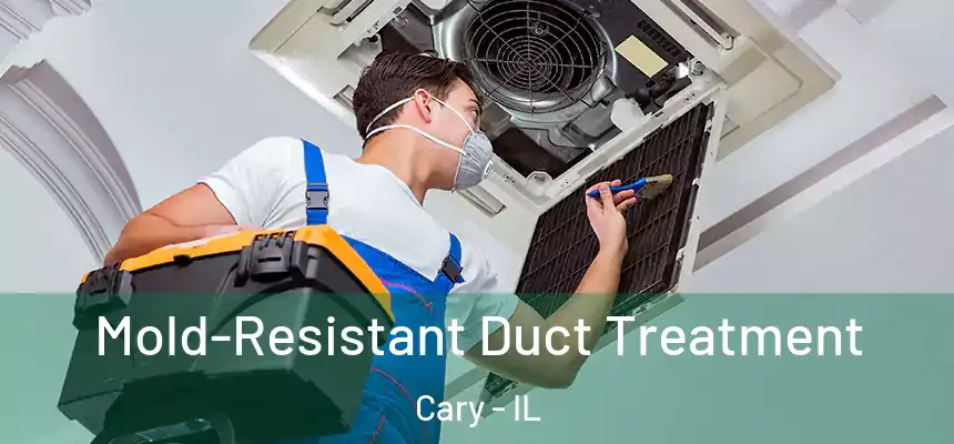  Mold-Resistant Duct Treatment Cary - IL