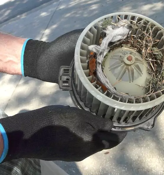 About Air Duct Mice Removal in Cary, IL