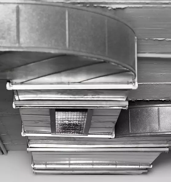 Professional Air Duct Pest Removal in Cary, IL