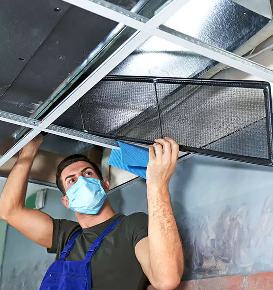 Professional Air Duct Pollen Cleaning in Cary, IL