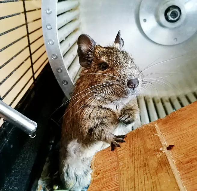 Why Homeowners & Businesses Trust Us Cary, IL?