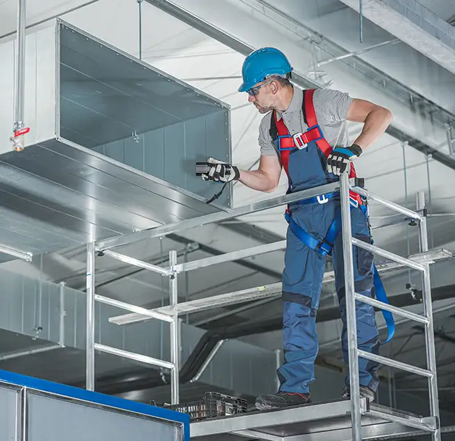 Why Homeowners & Businesses Trust Us in Cary, IL?