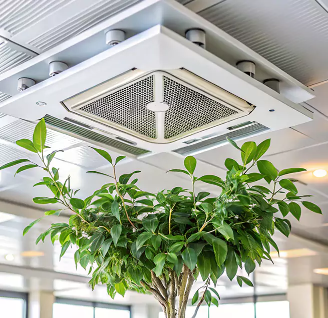 Why Homeowners & Businesses Trust Us in Cary, IL?