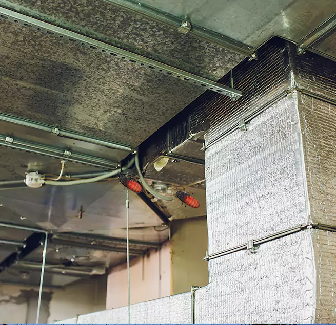 Why Homeowners & Businesses Trust Us Cary, IL?