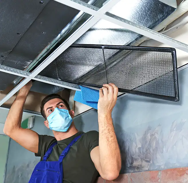 Why Homeowners & Businesses Trust Us in Cary, IL?