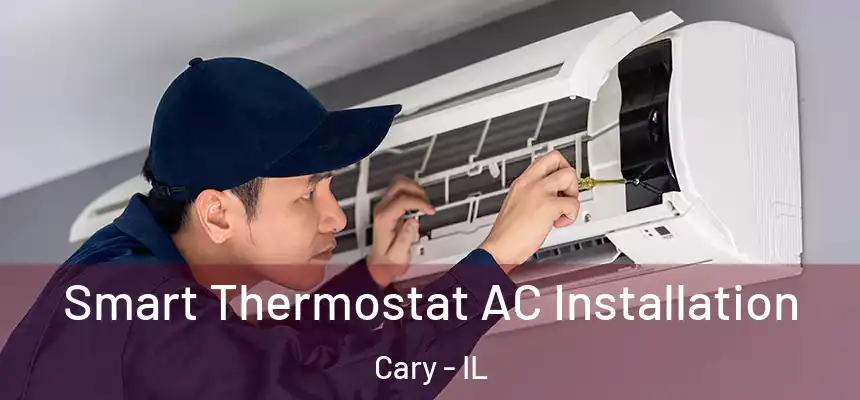  Smart Thermostat AC Installation Cary - IL
